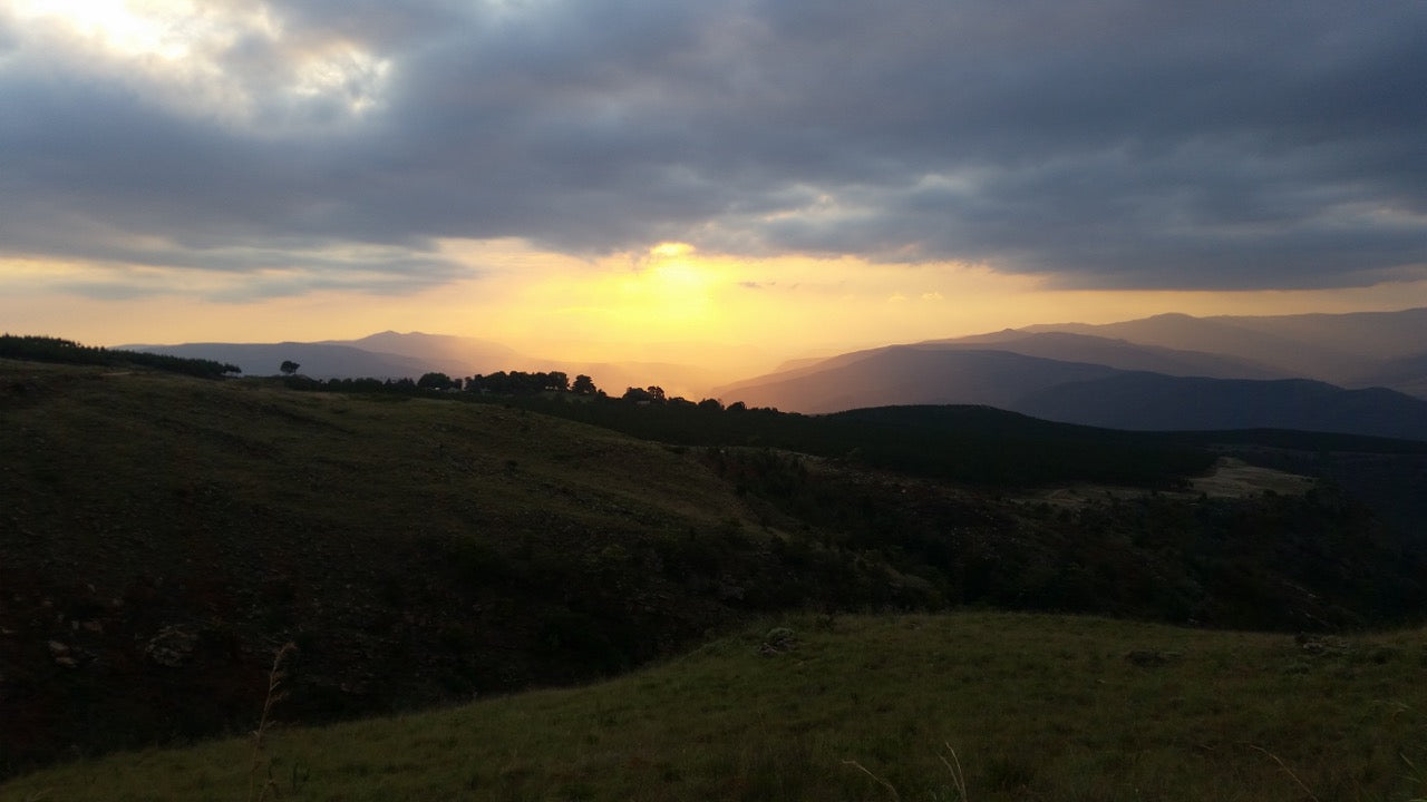 Kaapsehoop Horse Trails