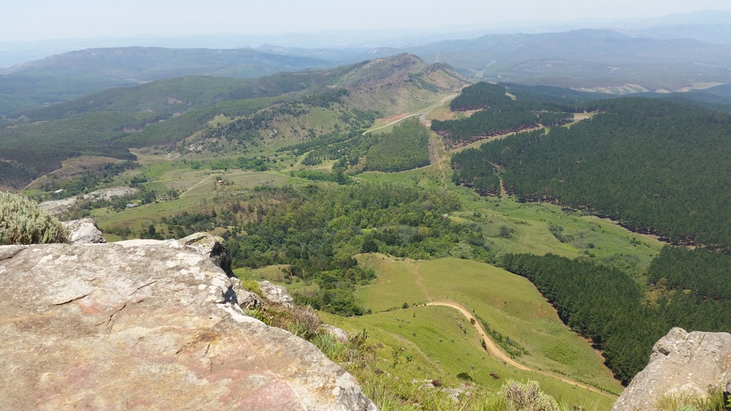 Kaapsehoop Horse Trails