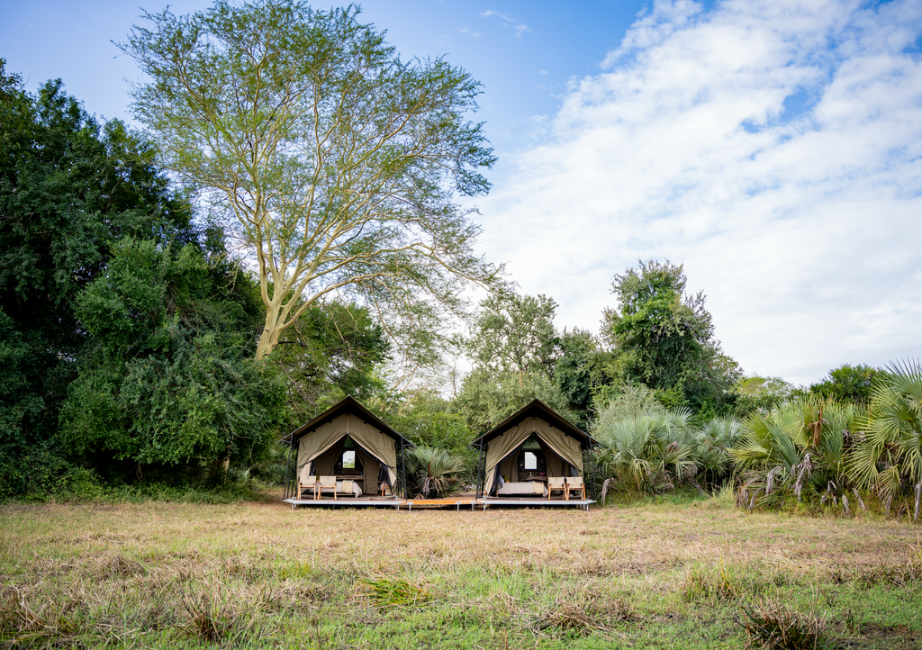 Treehide Tents