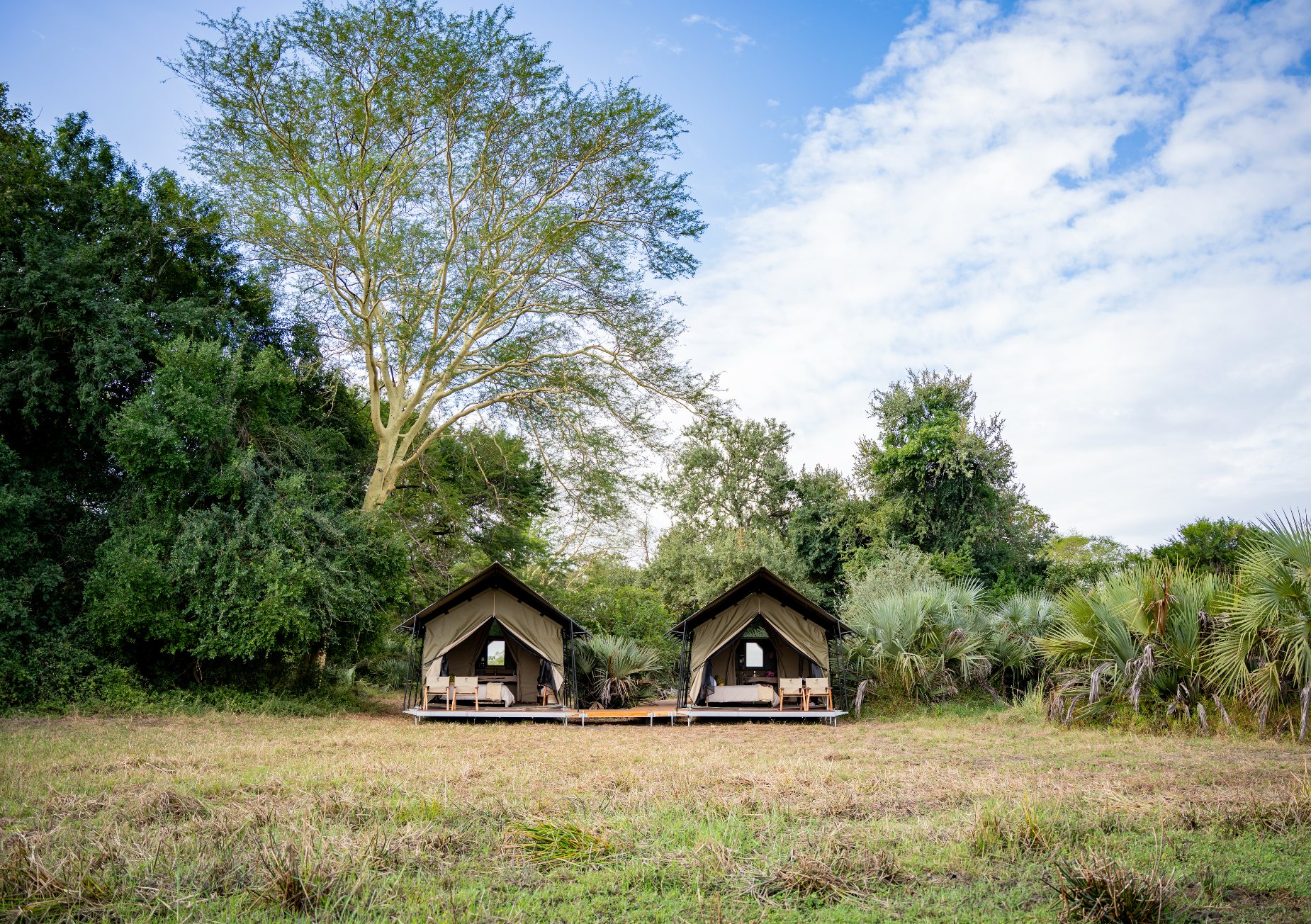 Treehide Tents