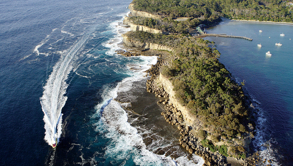 Tasman Island 3 Hour Wilderness Cruise