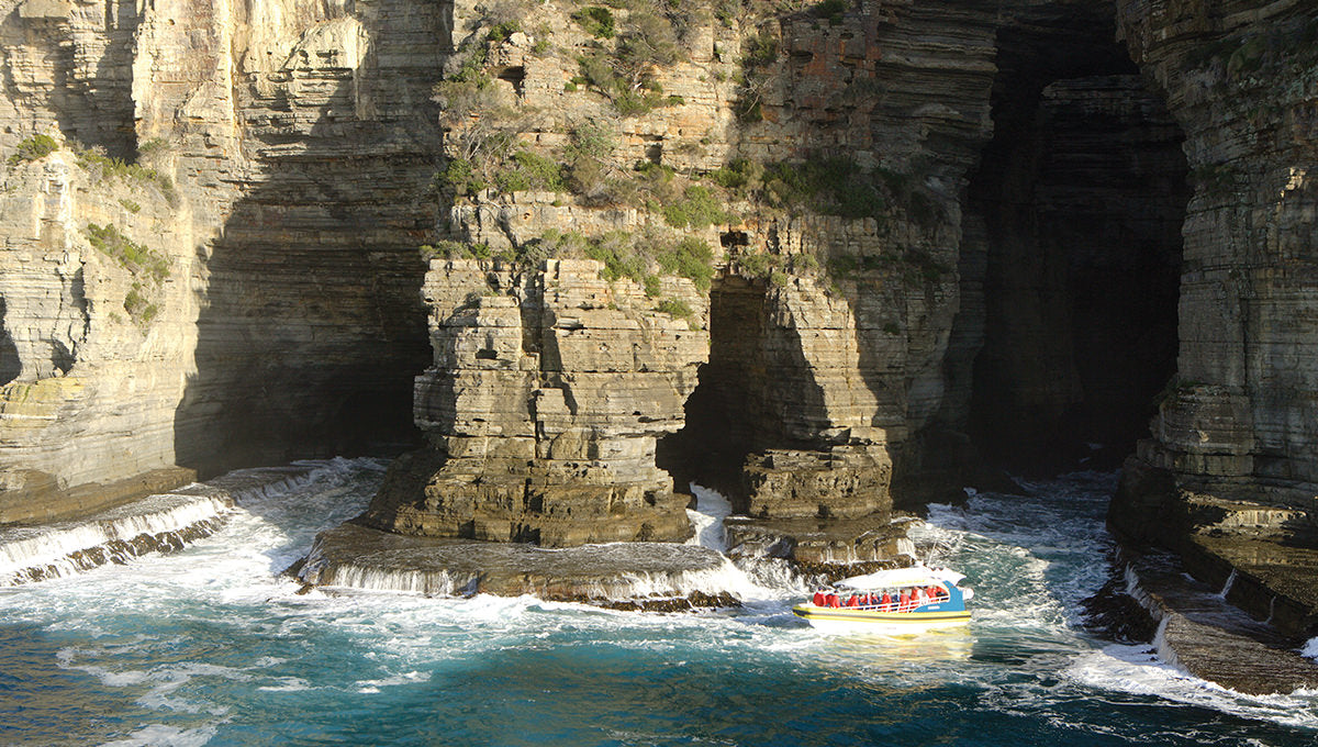 Tasman Island 3 Hour Wilderness Cruise