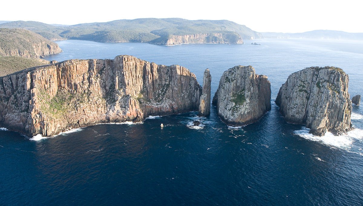 Tasman Island 3 Hour Wilderness Cruise
