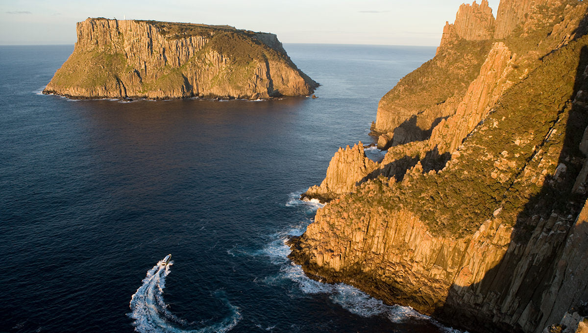 Tasman Island 3 Hour Wilderness Cruise