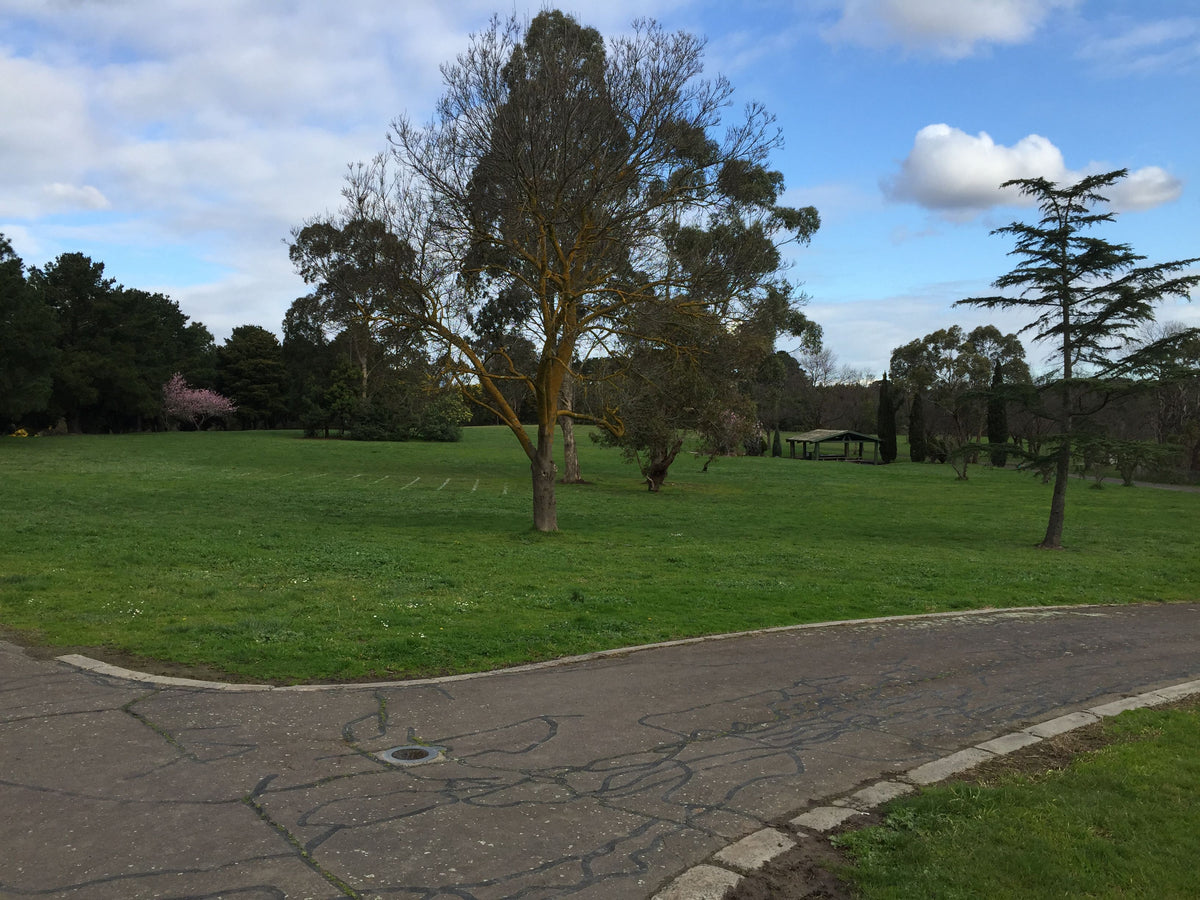 Nortons Park