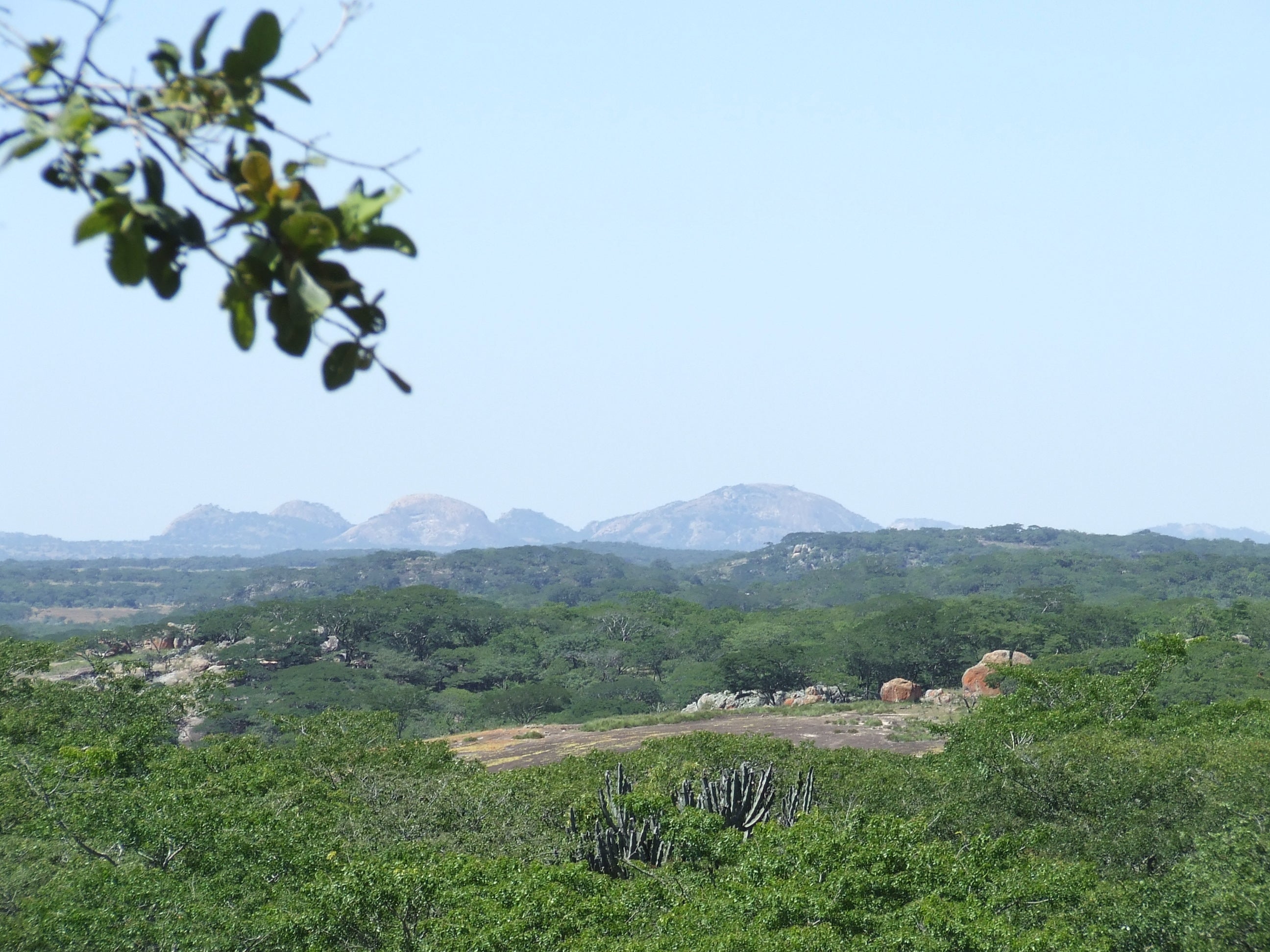 Jabulani