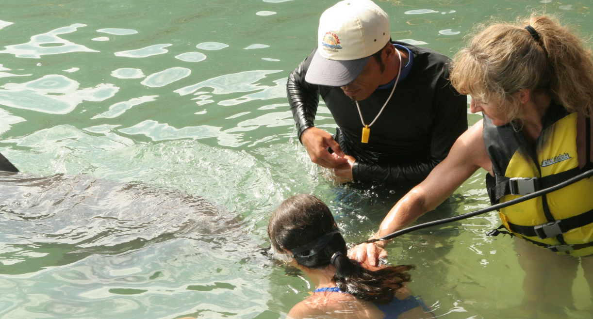 Dolphin Lodge Bali