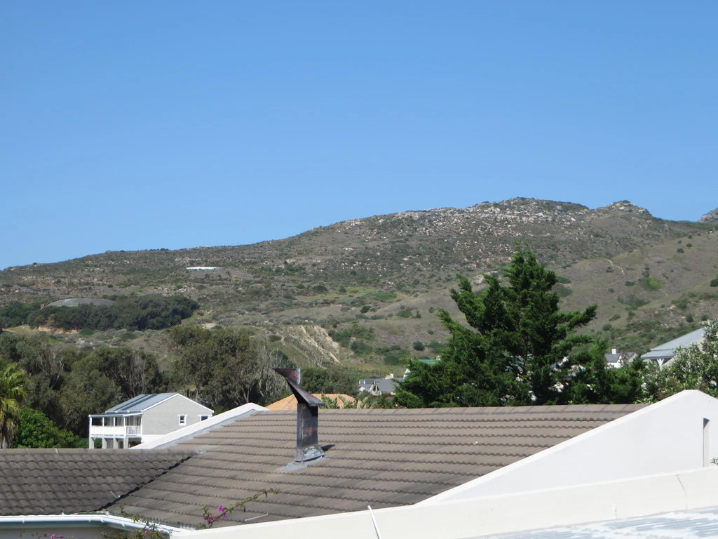 Bermuda Capri at The Lazy Landlord, Cape Peninsula, South Africa.