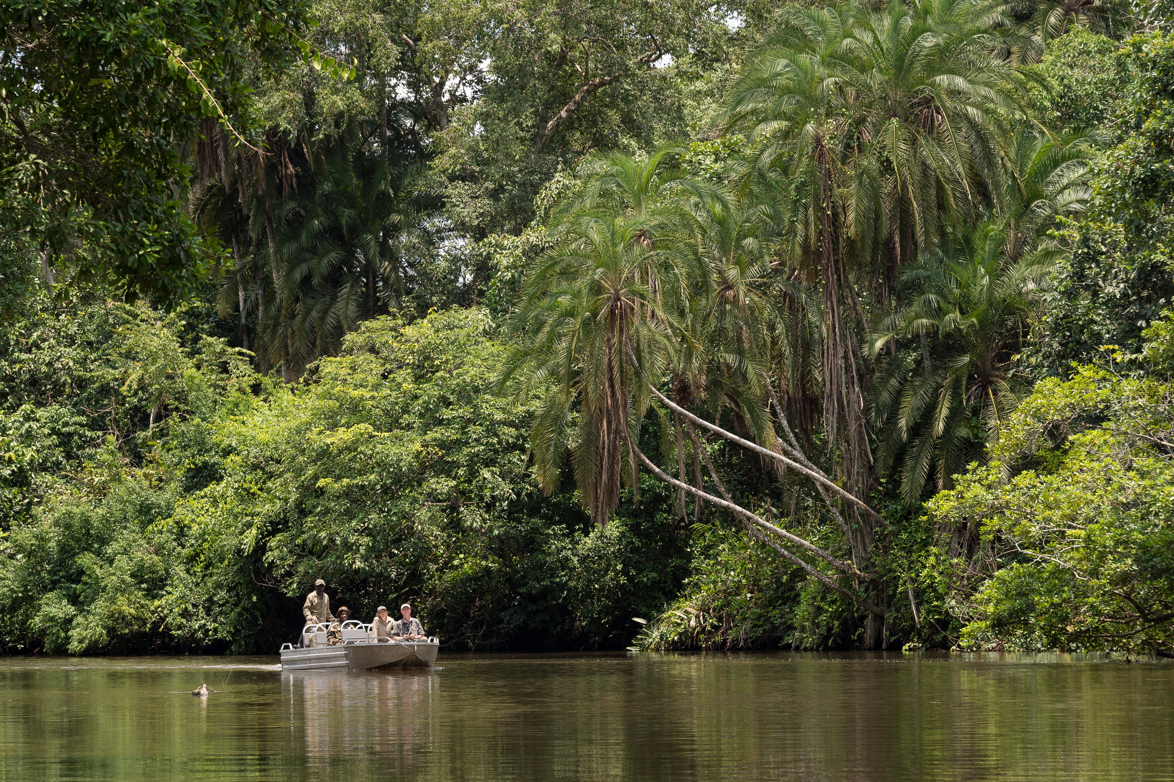 Mboko Lodge - Kamba African Rainforest Experiences