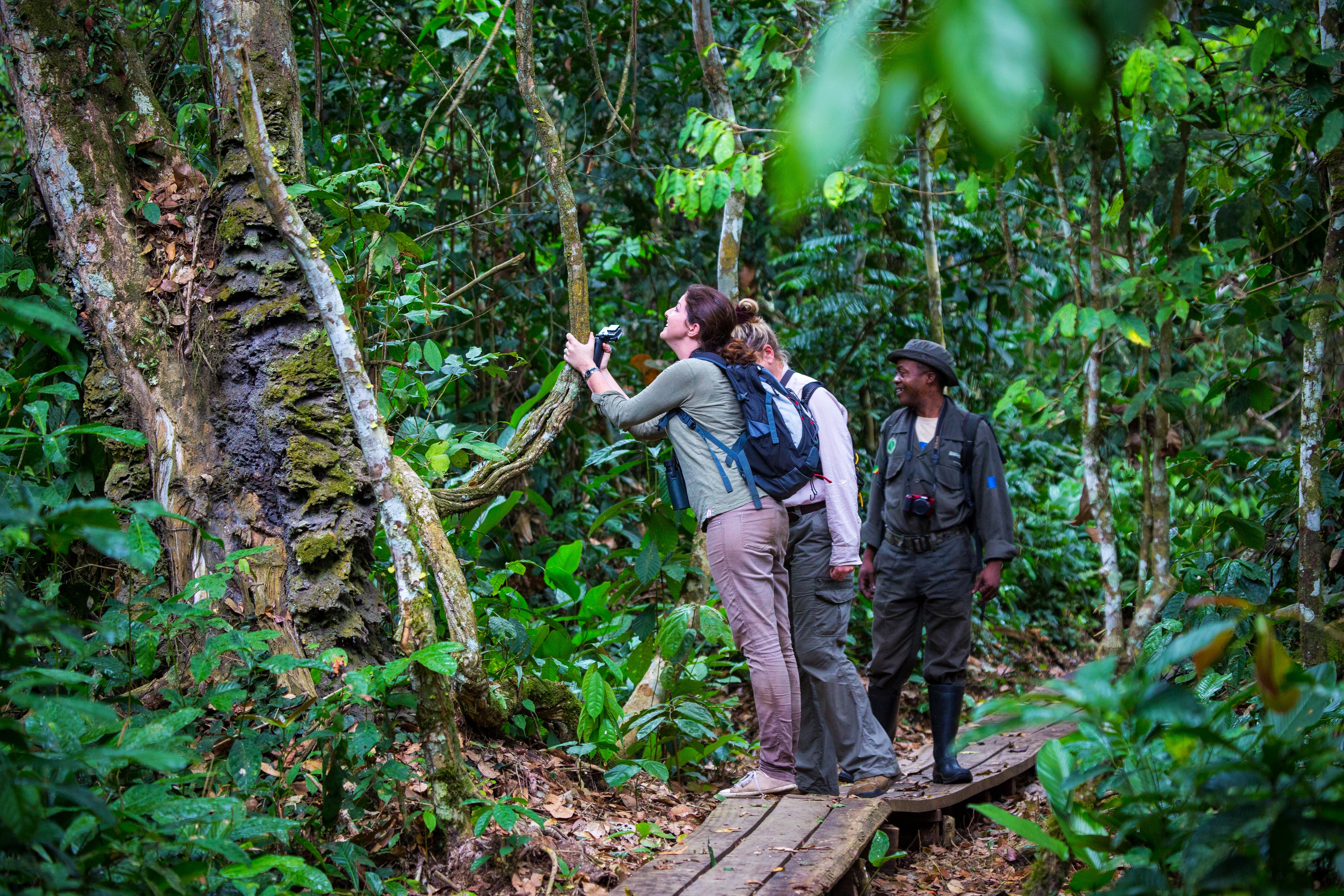 Mboko Lodge - Kamba African Rainforest Experiences