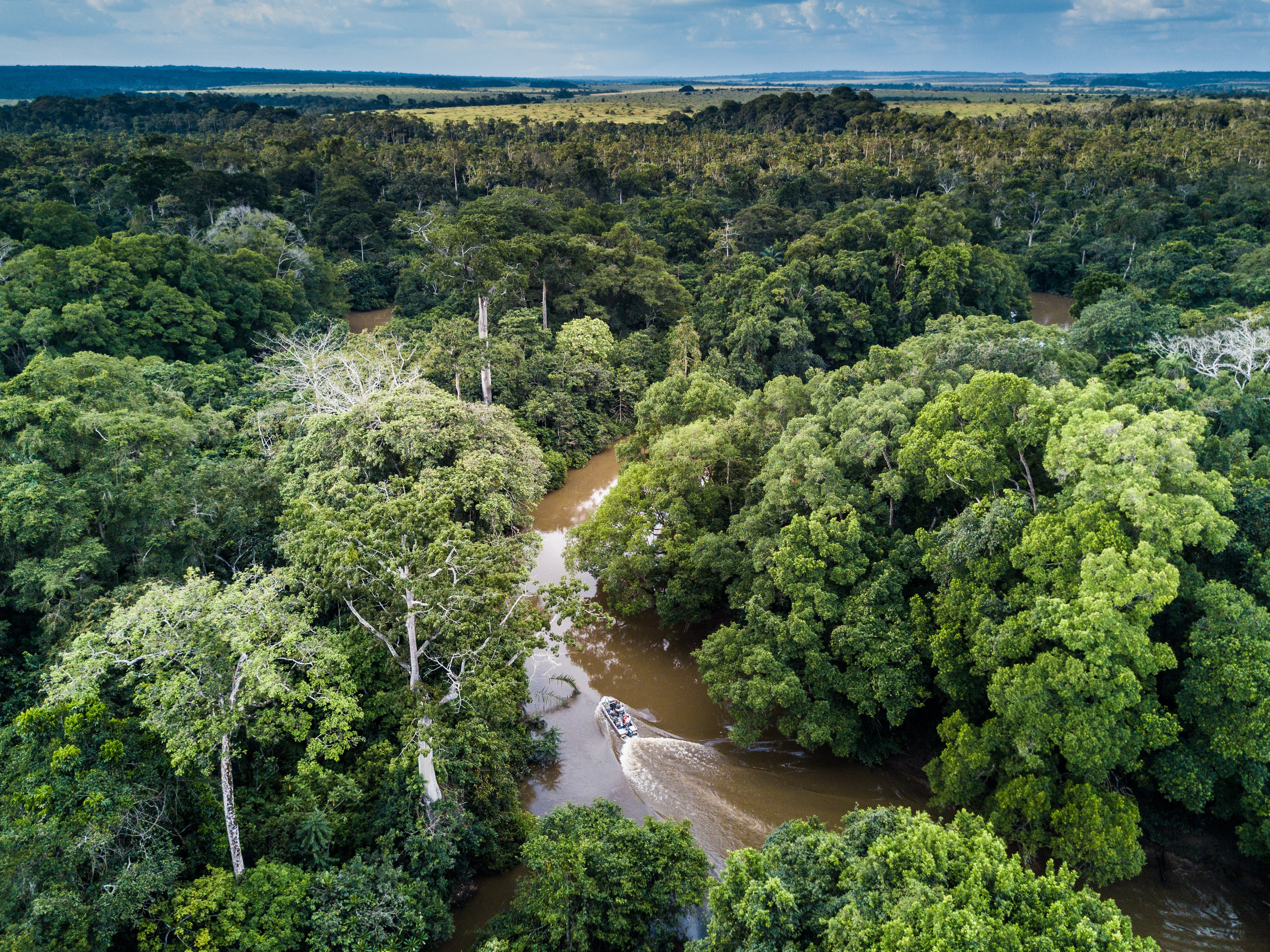 Mboko Lodge - Kamba African Rainforest Experiences