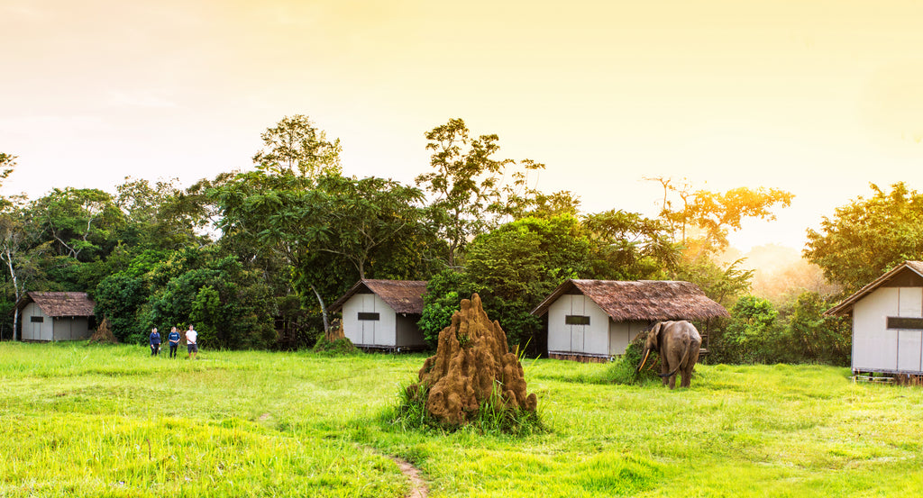 Mboko Lodge - Kamba African Rainforest Experiences
