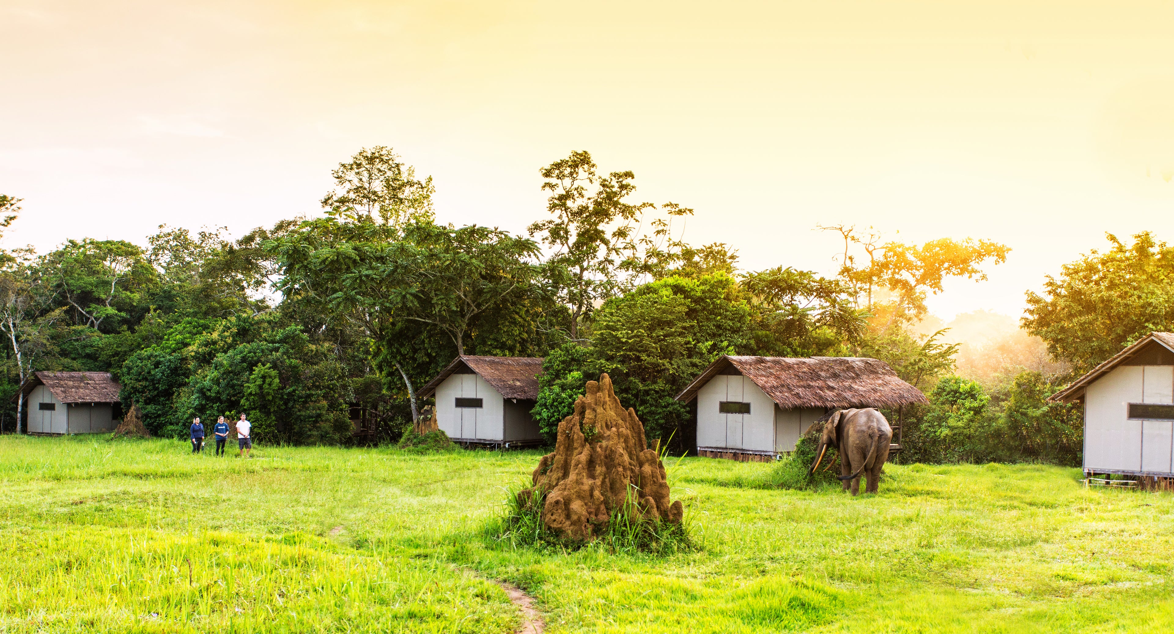 Mboko Lodge - Kamba African Rainforest Experiences