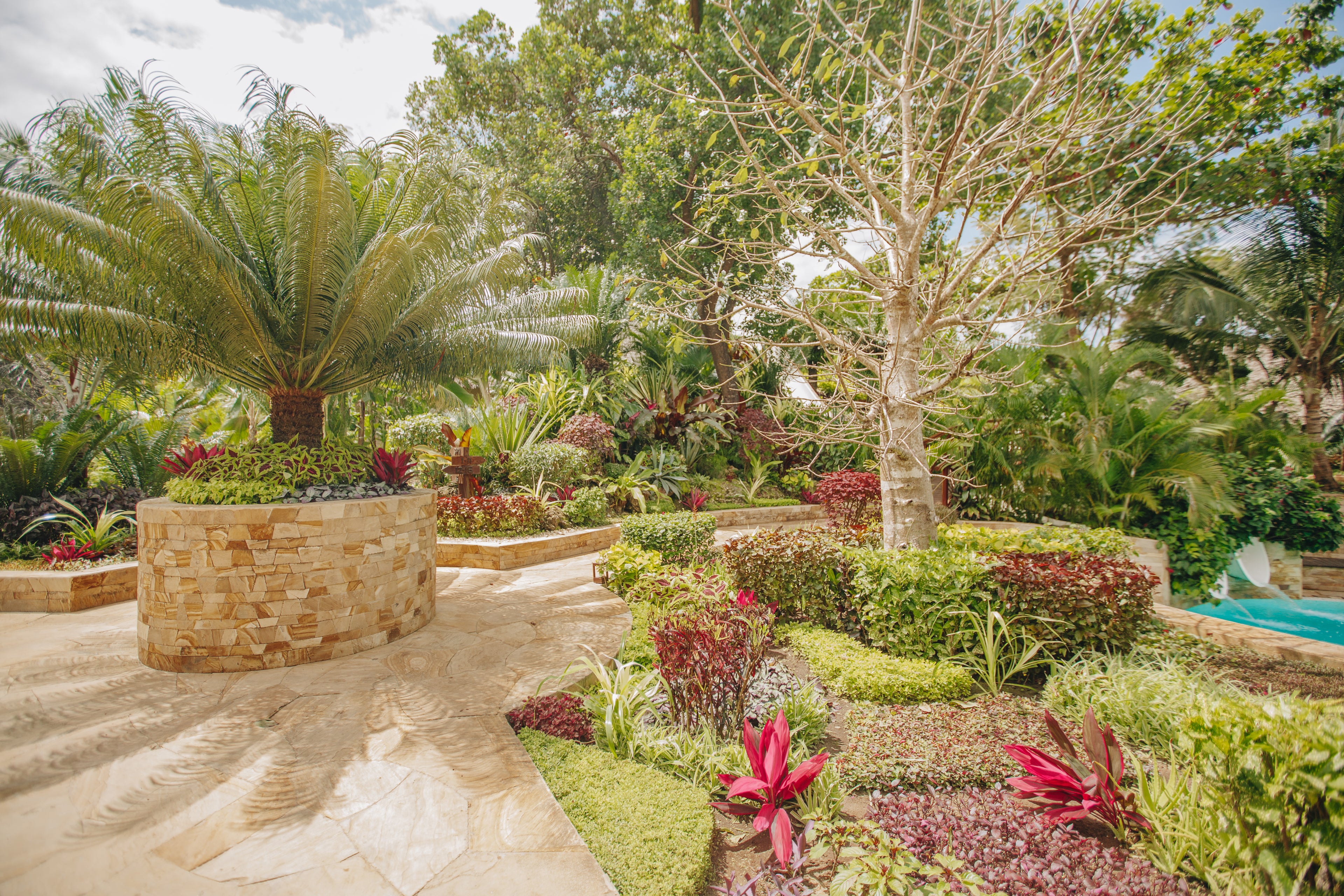 Tropical garden