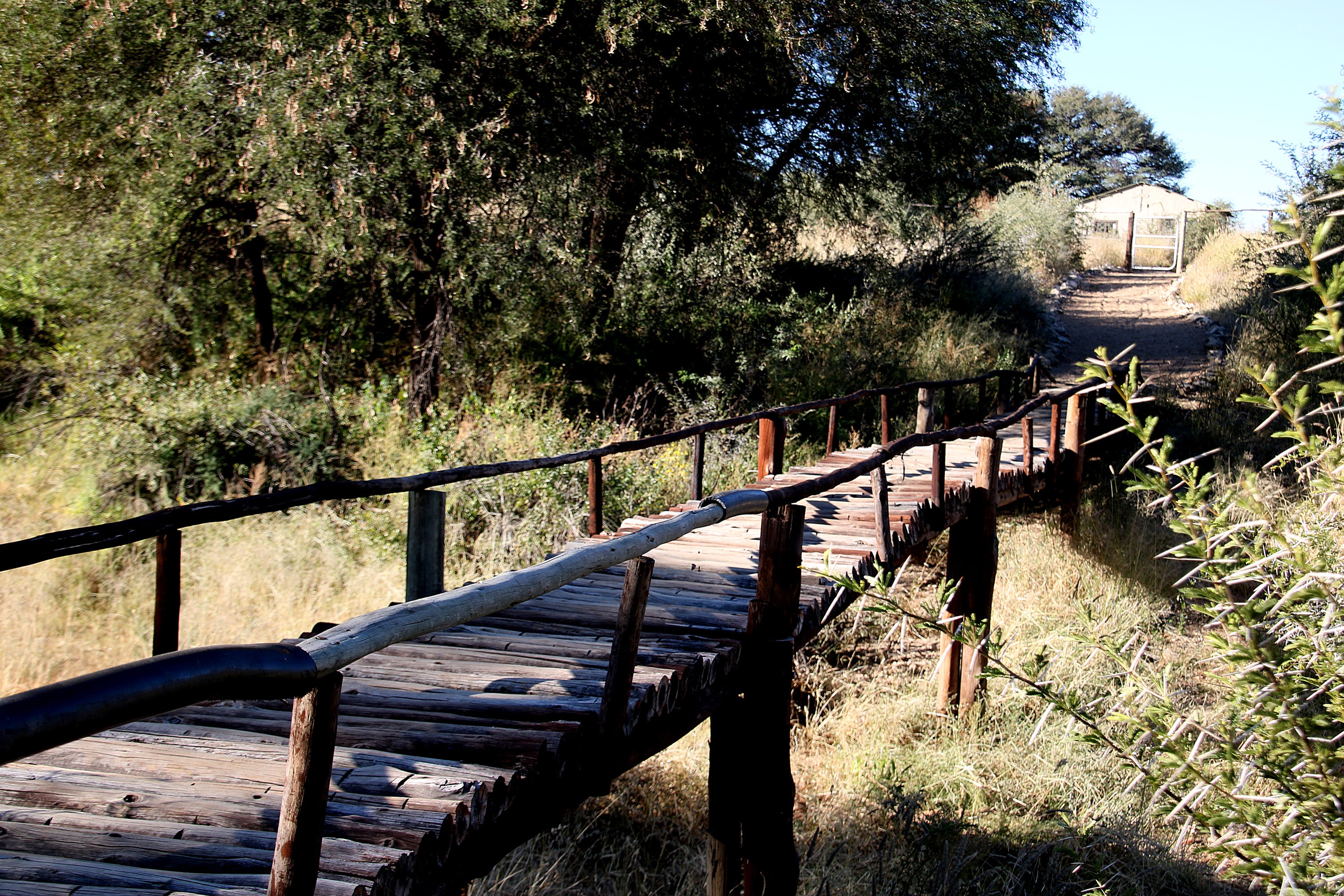 Ondekaremba Econo Lodge - Bridge over dry river bed