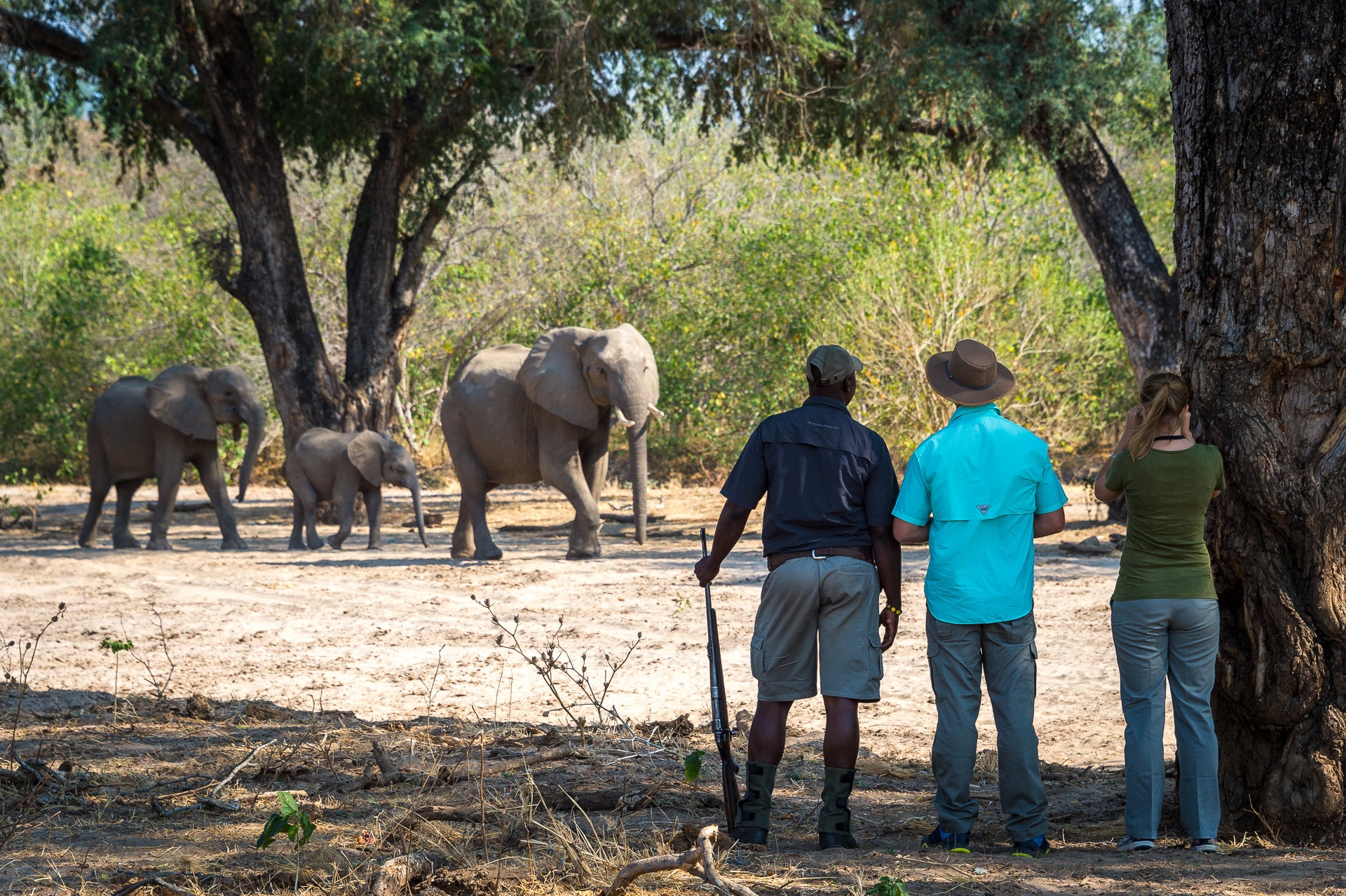 Wilderness Little Ruckomechi – Guided Nature Walks