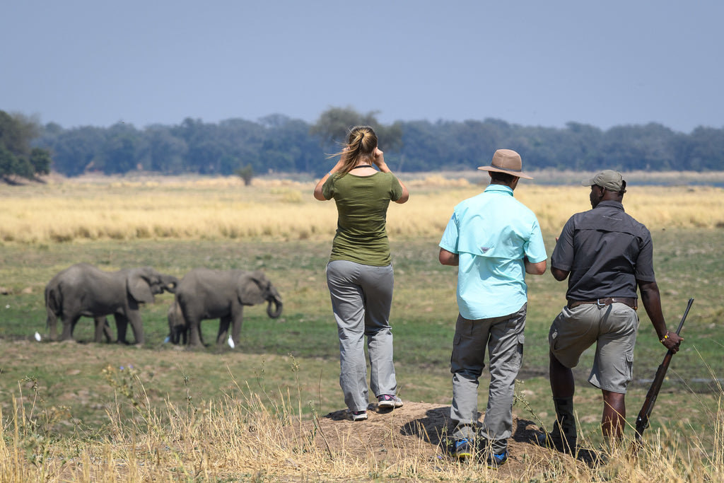 Wilderness Little Ruckomechi – Guided Nature Walks