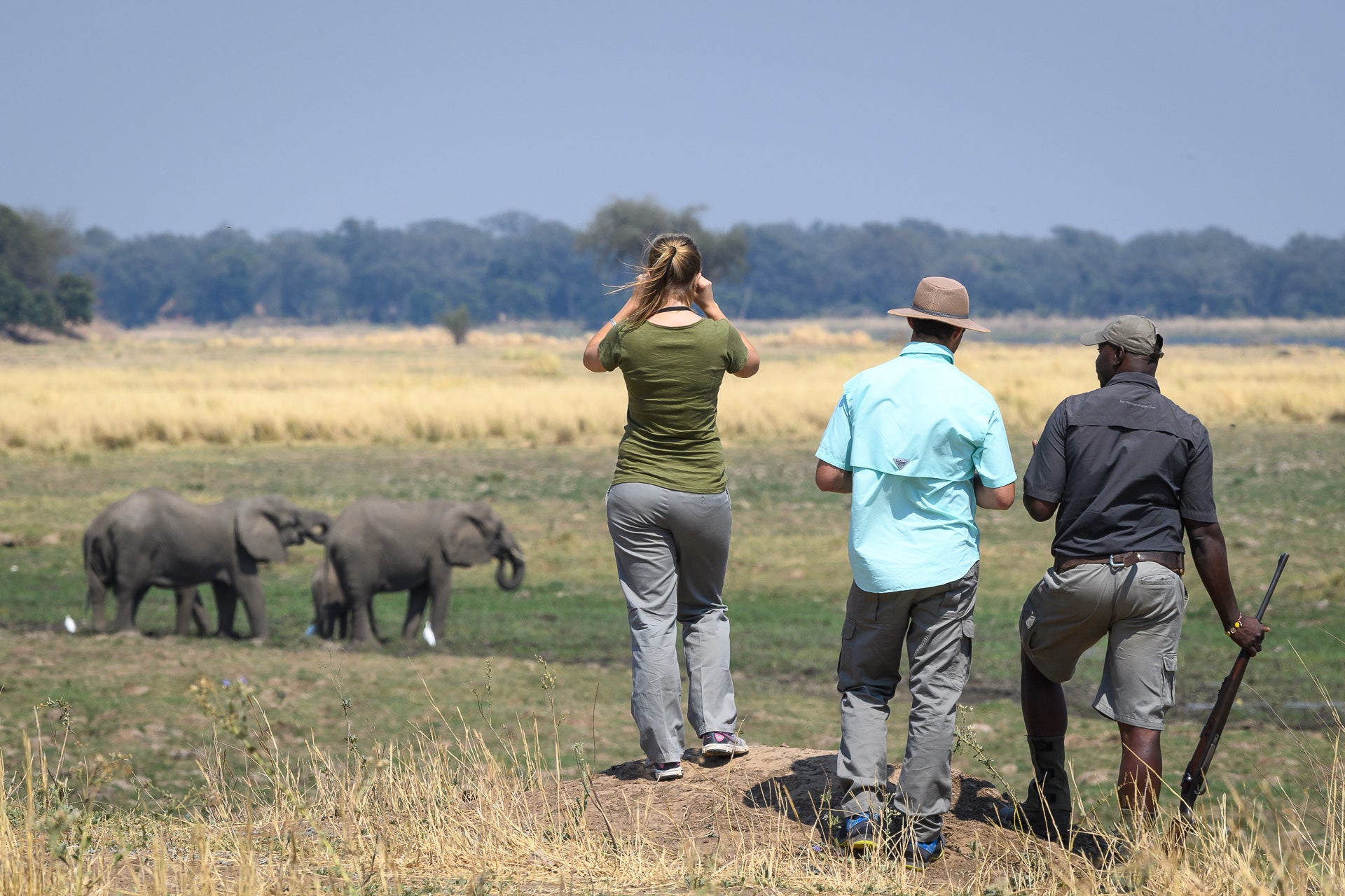 Wilderness Little Ruckomechi – Guided Nature Walks