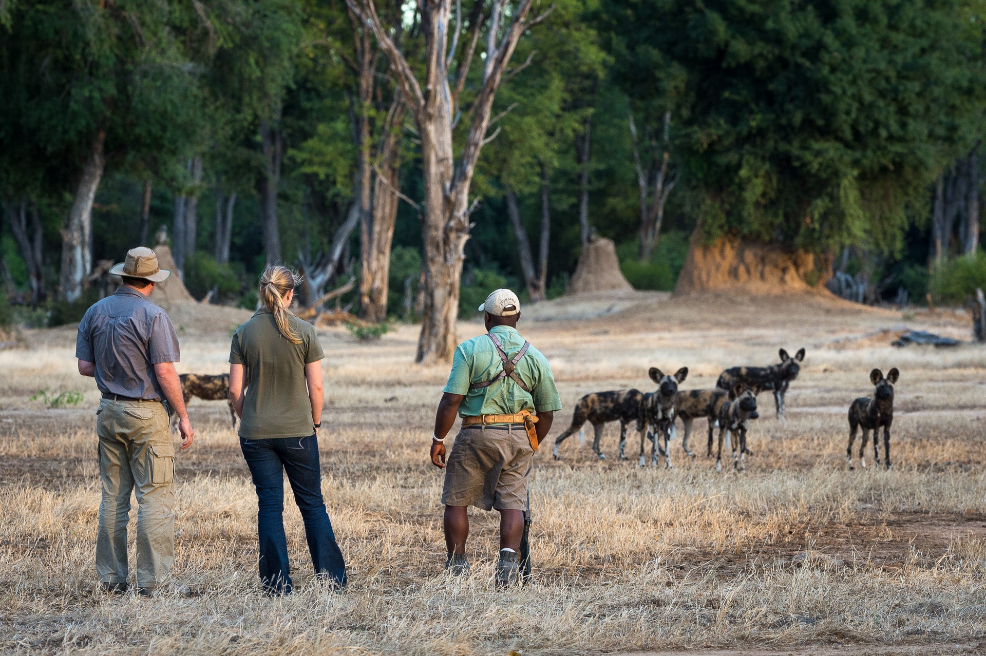 Wilderness Little Ruckomechi – Guided Nature Walks