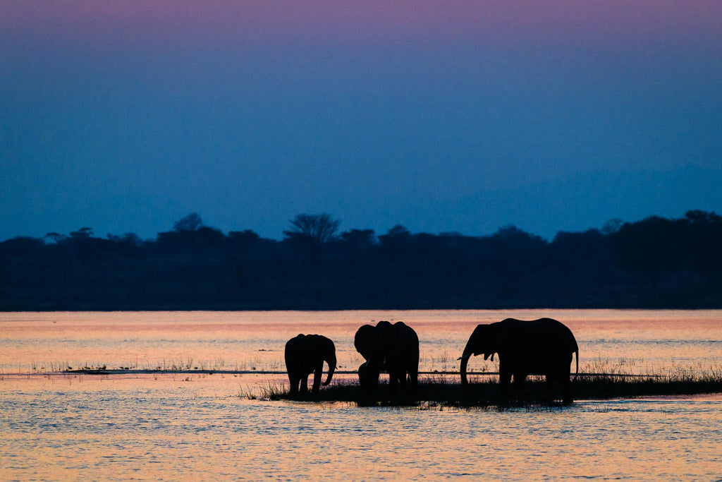 Wilderness Little Ruckomechi at Wilderness Little Ruckomechi, Mana Pools National Park, Zimbabwe.