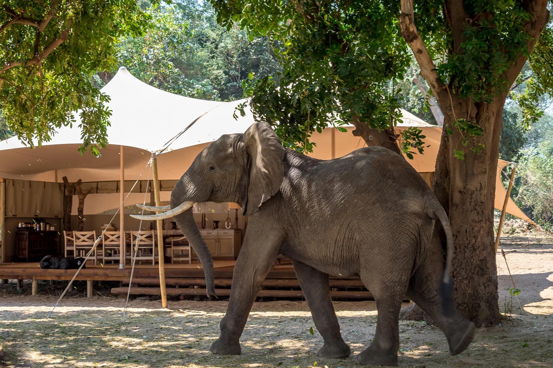 Wilderness Little Ruckomechi at Wilderness Little Ruckomechi, Mana Pools National Park, Zimbabwe.