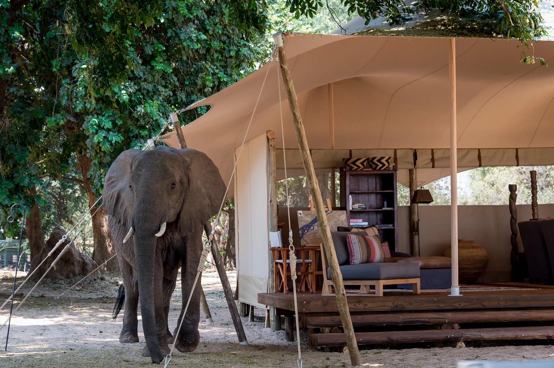 Wilderness Little Ruckomechi at Wilderness Little Ruckomechi, Mana Pools National Park, Zimbabwe.