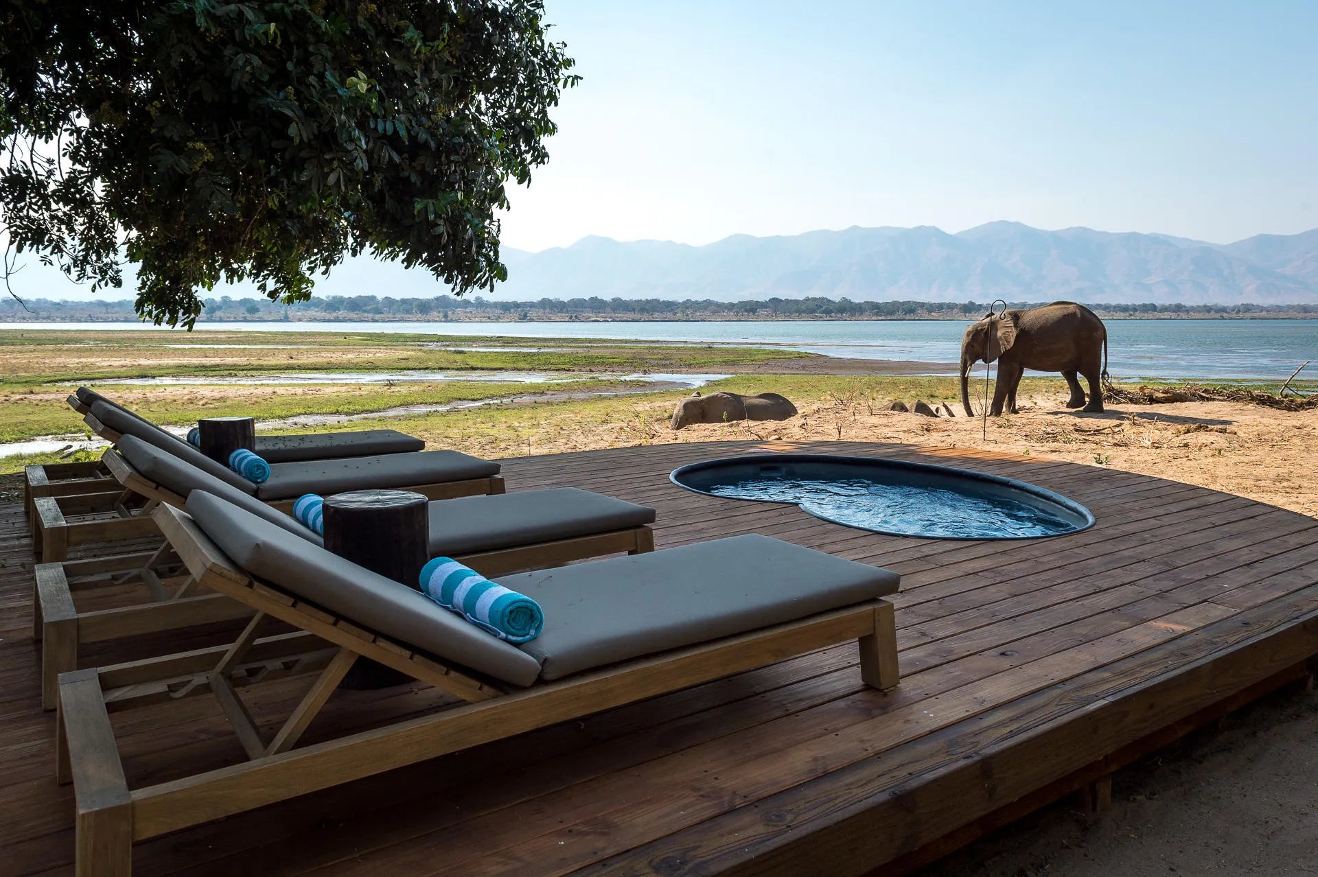 Wilderness Little Ruckomechi at Wilderness Little Ruckomechi, Mana Pools National Park, Zimbabwe.