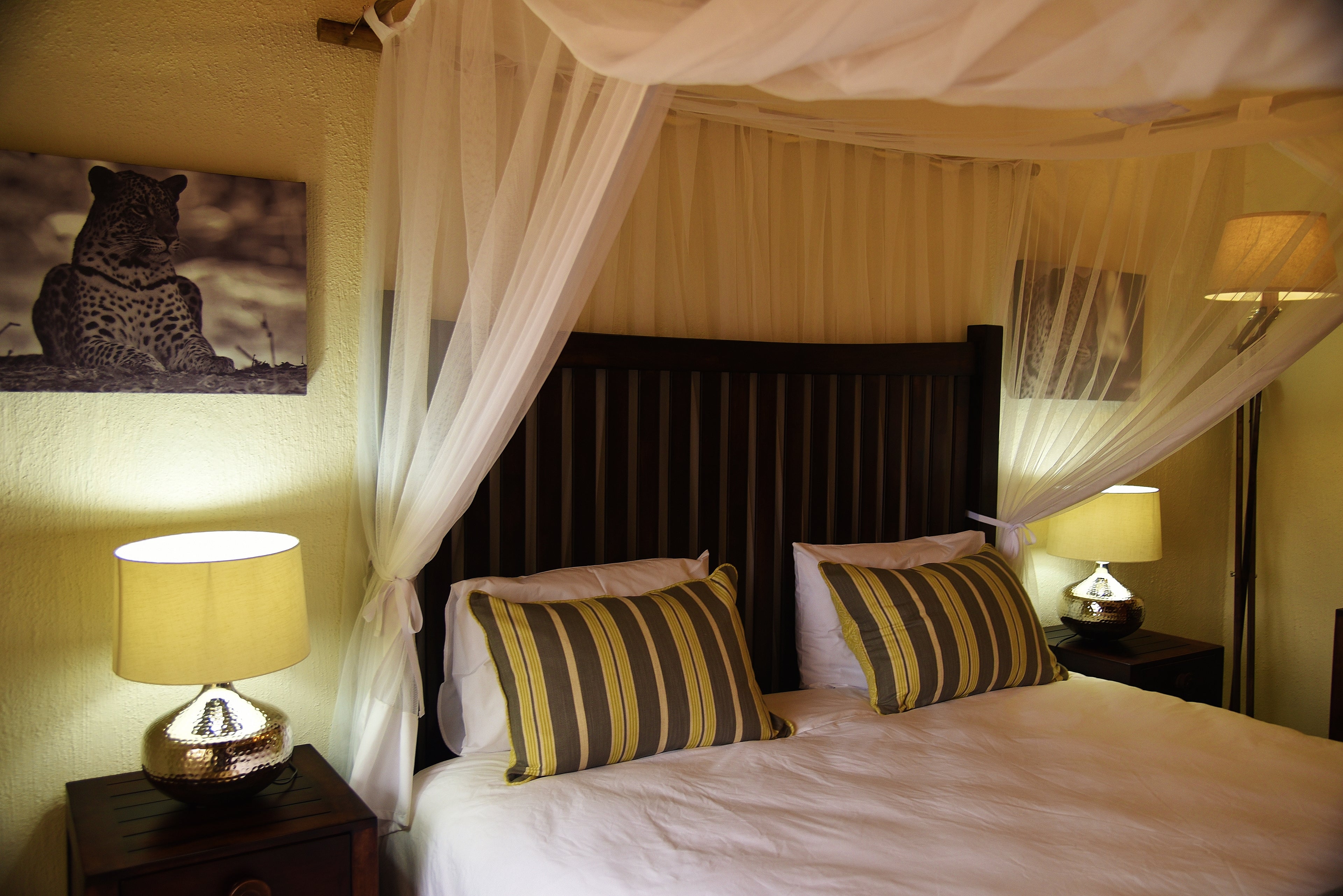 Leopard room detail