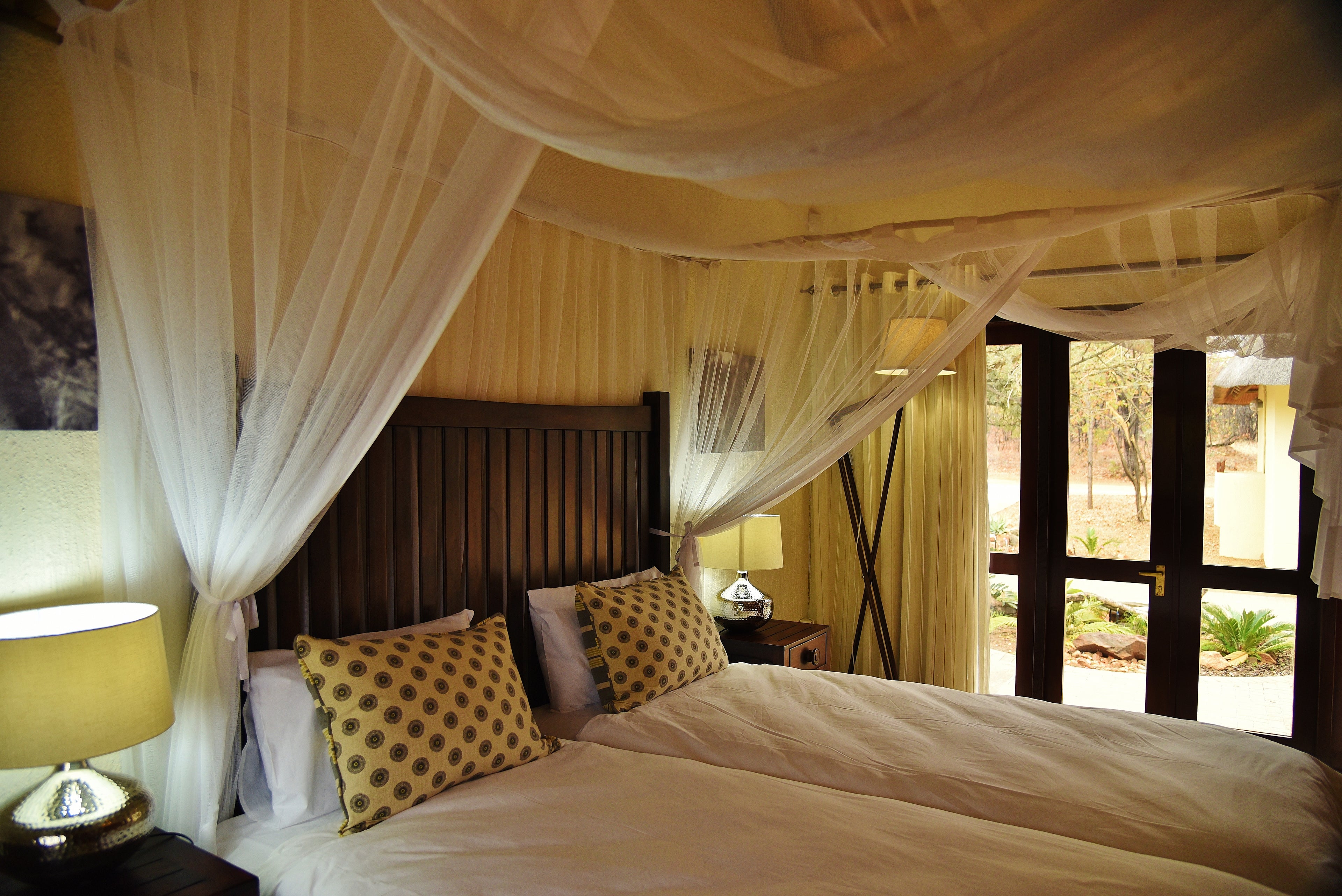 Lion room