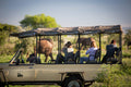 Game Drives