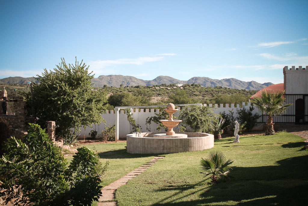 View onto the garden 1