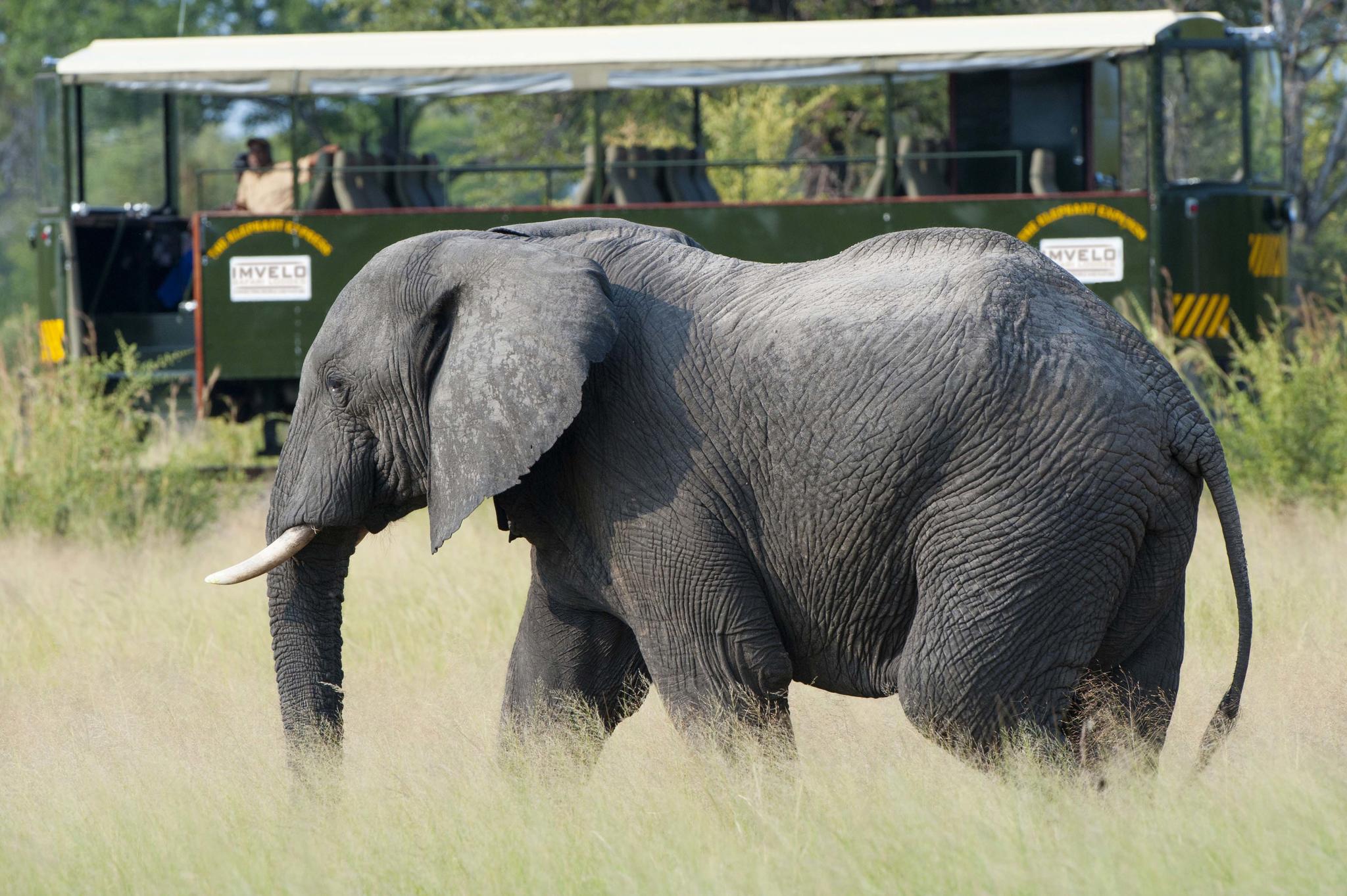 Elephant Express rail car