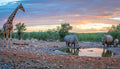 Ongava Lodge at Ongava Lodge, Ongava Private Game Reserve, Namibia.