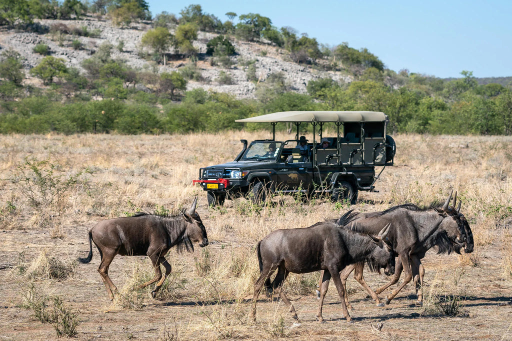 Ongava Game Reserve at Ongava Lodge, Ongava Private Game Reserve, Namibia.