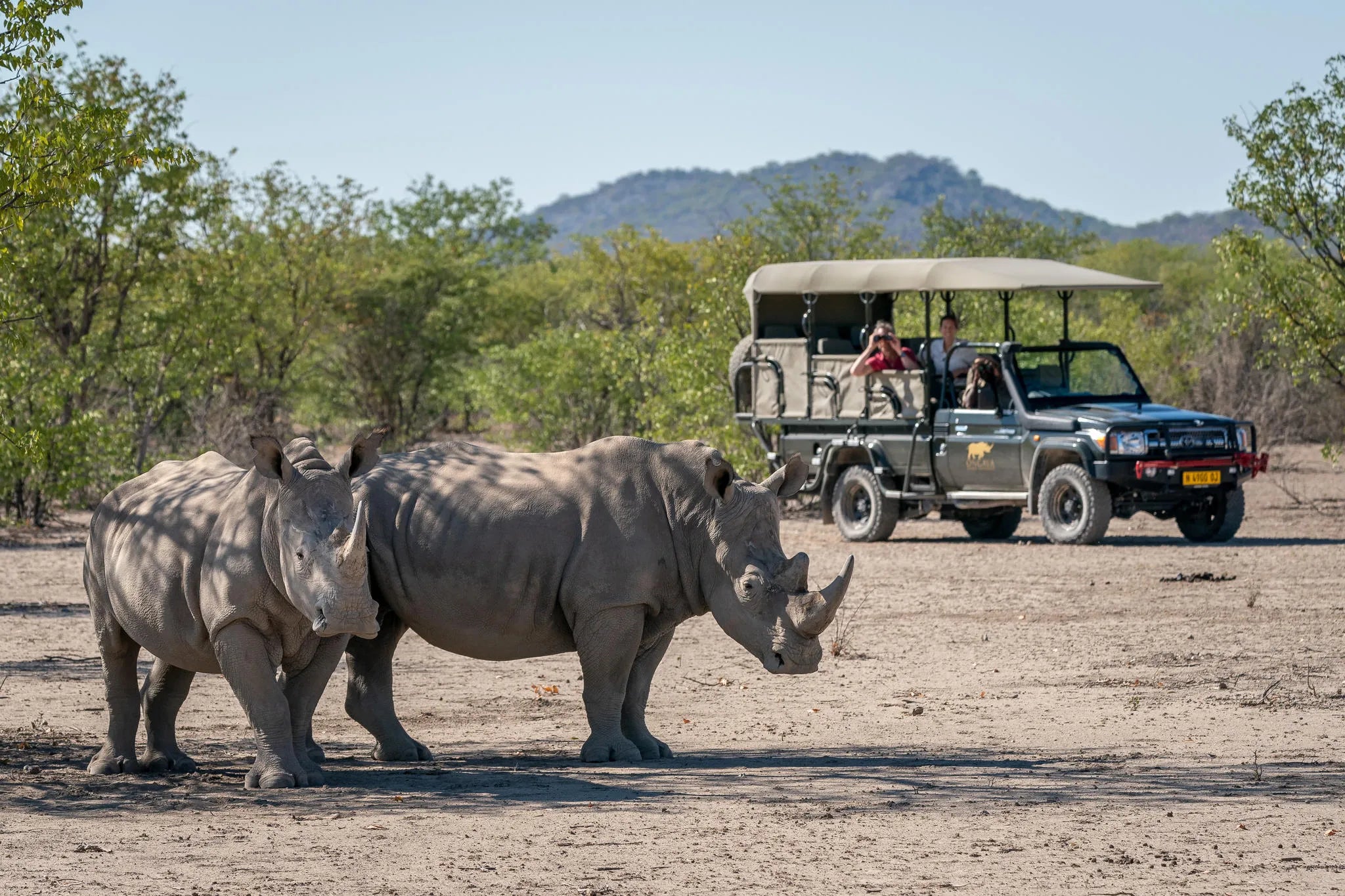Ongava Game Reserve at Ongava Lodge, Ongava Private Game Reserve, Namibia.