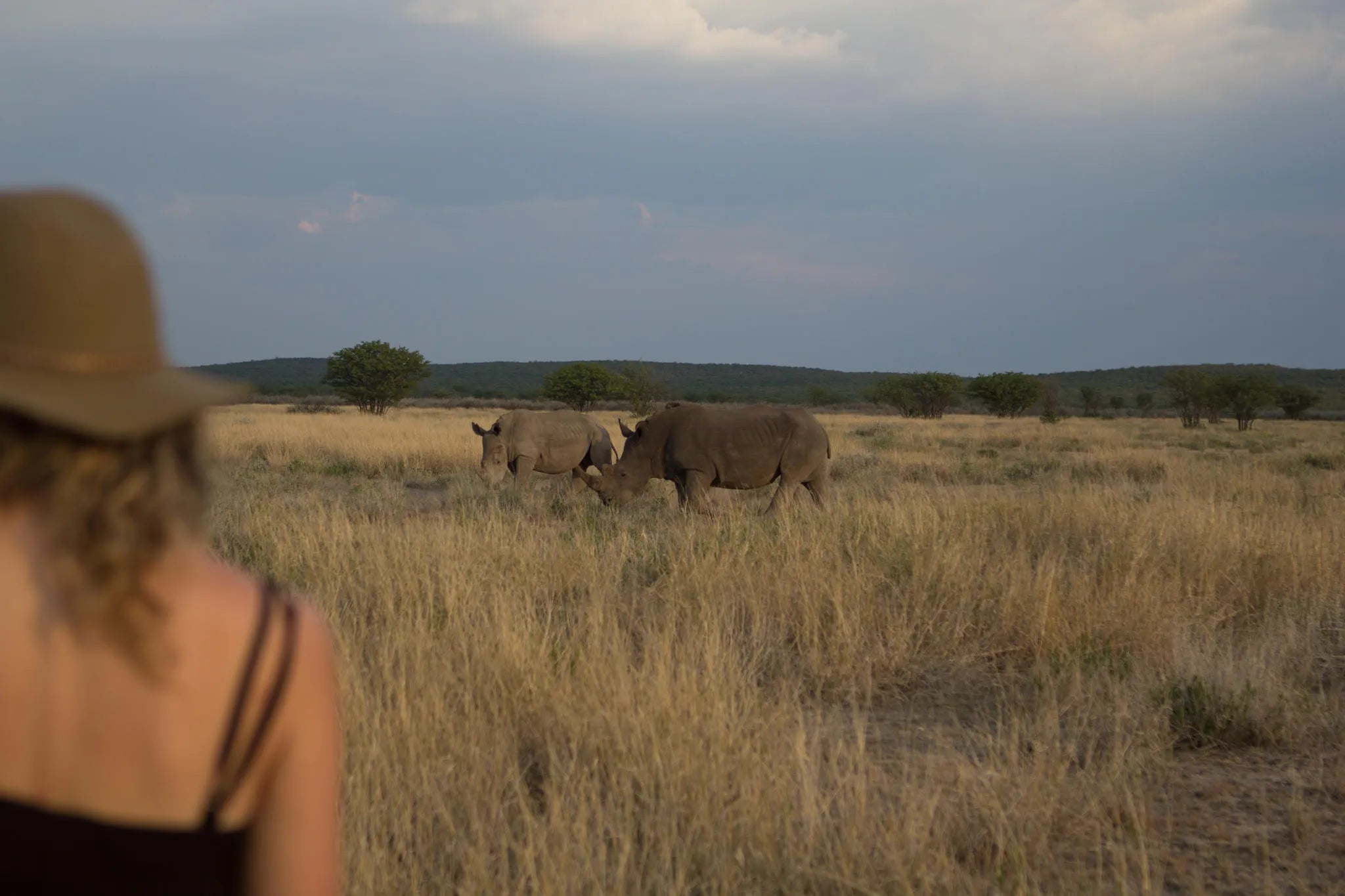 Ongava Game Reserve at Ongava Lodge, Ongava Private Game Reserve, Namibia.