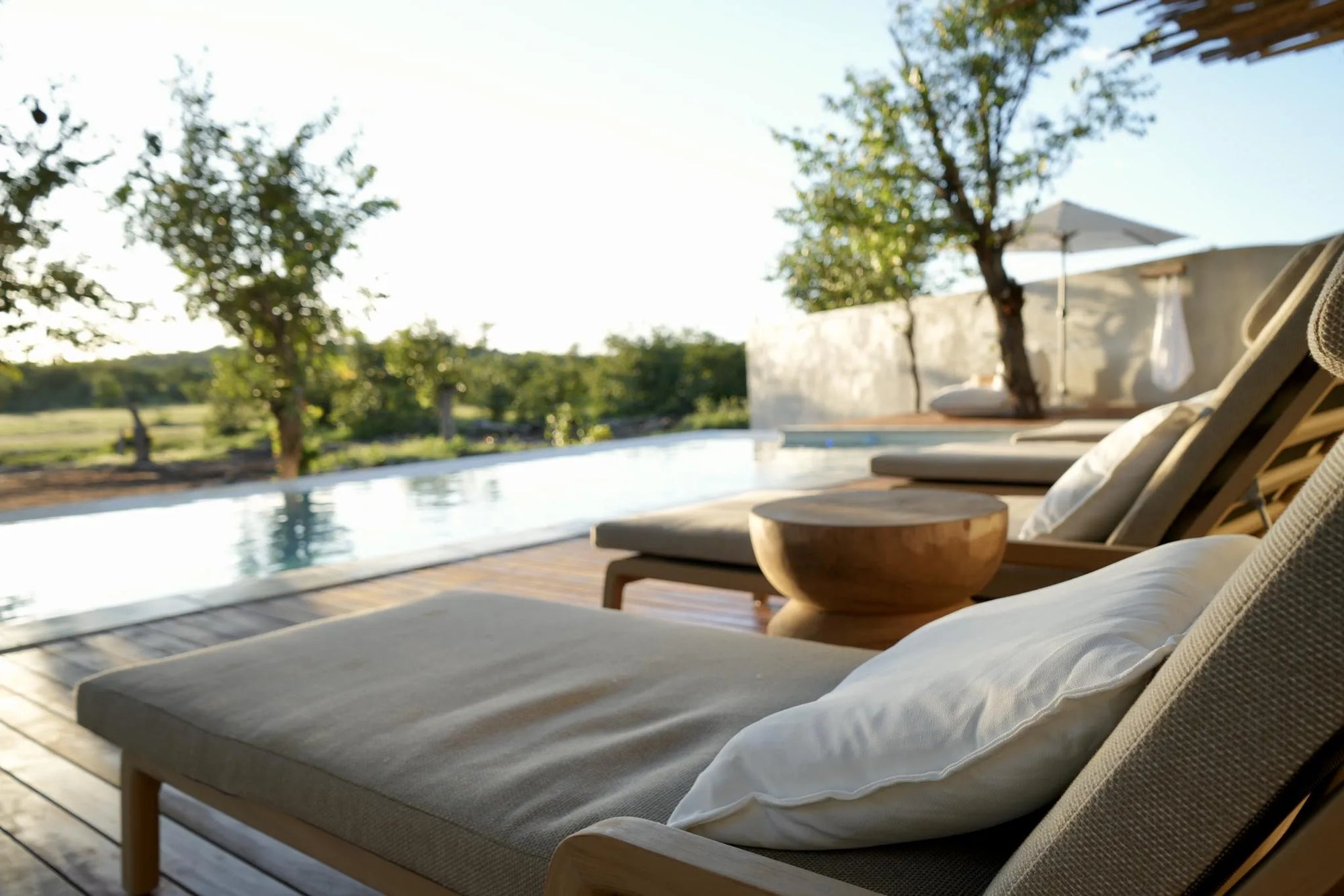 Encounter by Ongava Pool at Encounter by Ongava, Ongava Private Game Reserve, Namibia.