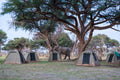 Unforgettable Bush Ways camping moments