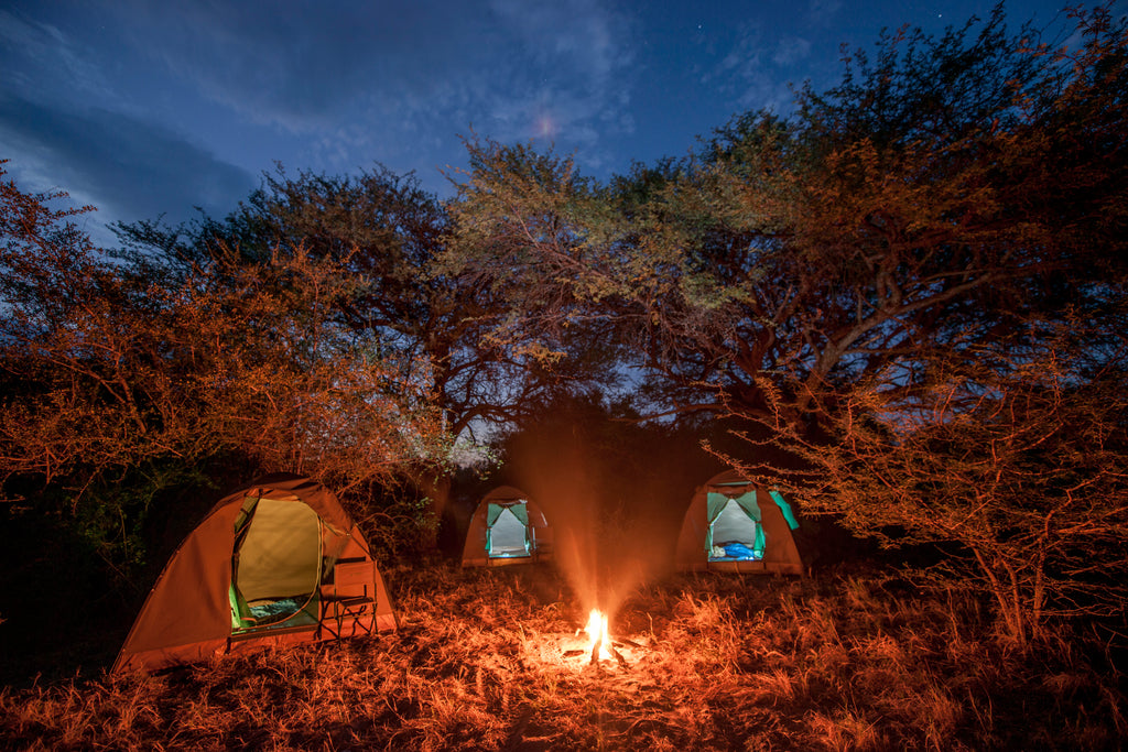 Sleeping under the stars in the various prime wildlife regions