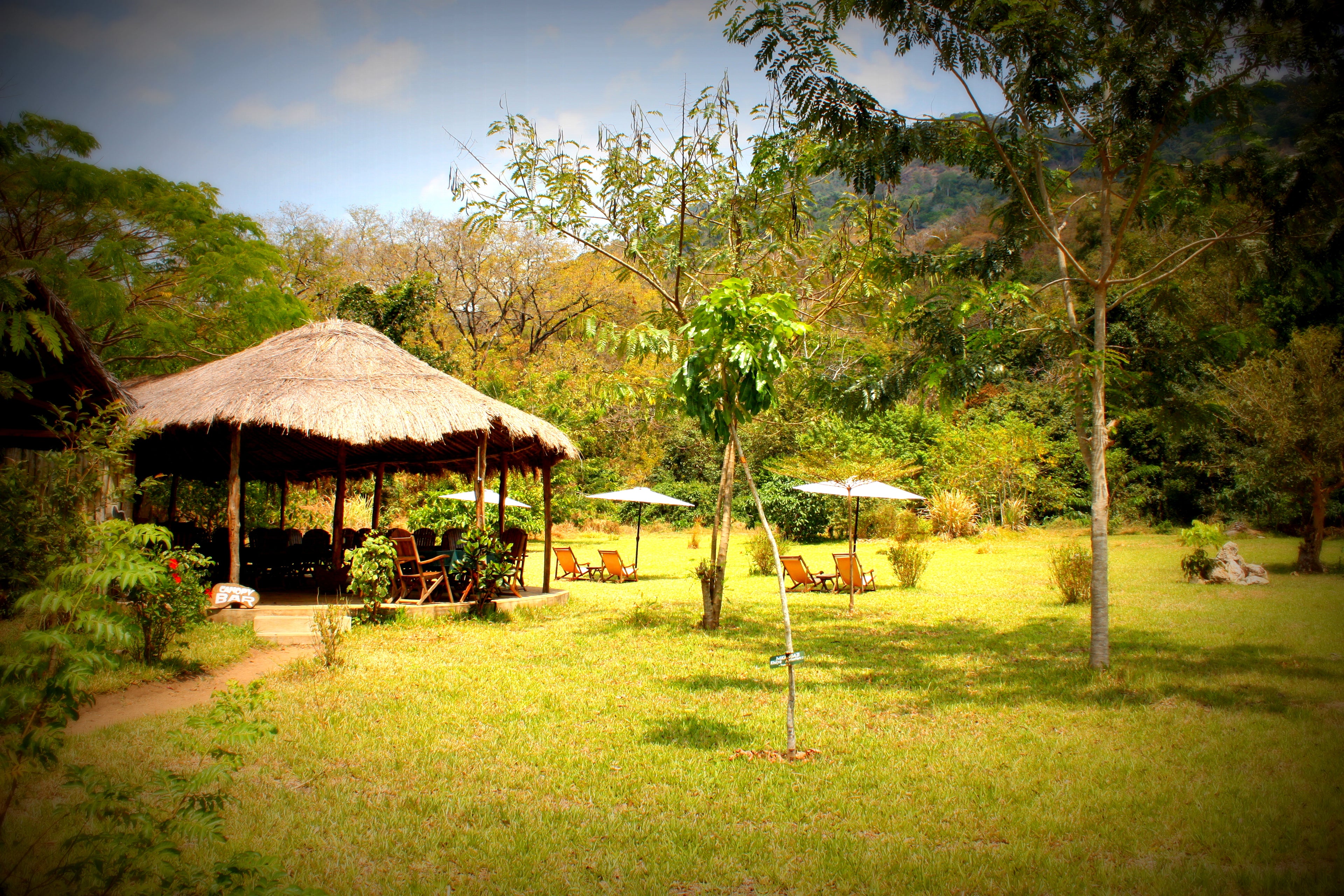 Canopy Bar