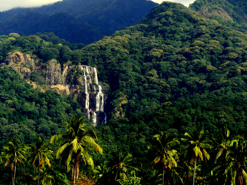 View of Sanje Waterfalls