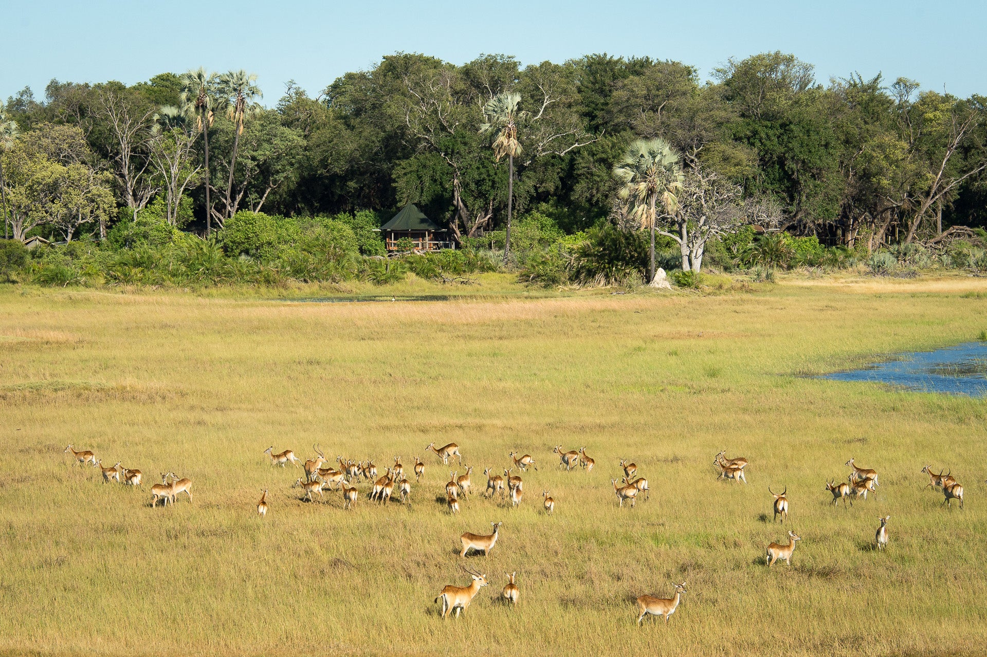 Into the Wilderness - Botswana