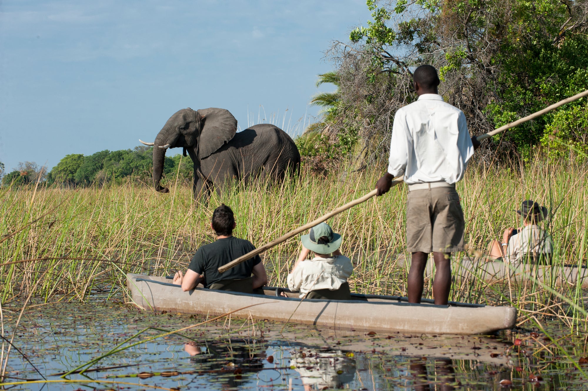 Into the Wilderness - Botswana