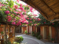 Apani Dhani Eco Lodge