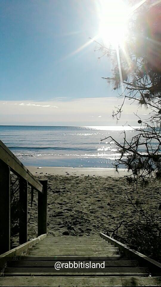 Rabbit Island on a Winters Day