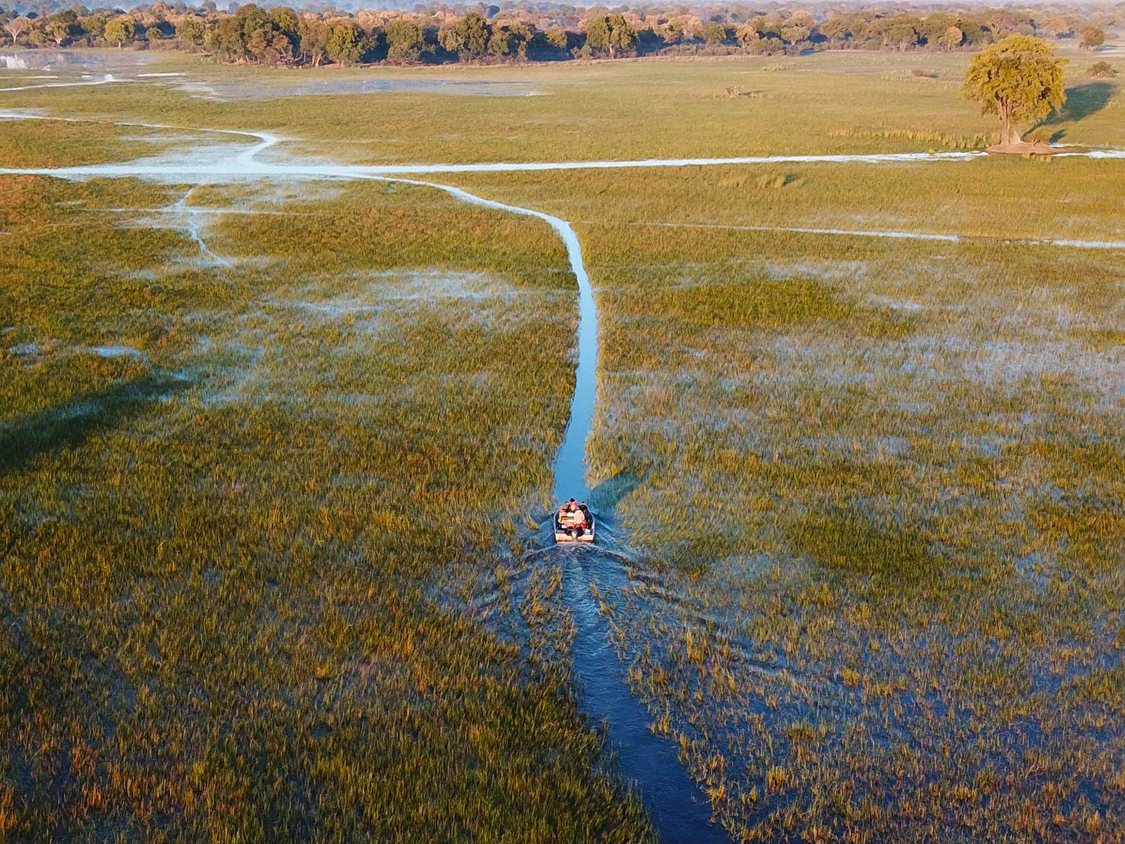 Jumbo Junction — VILLAGE TOUR