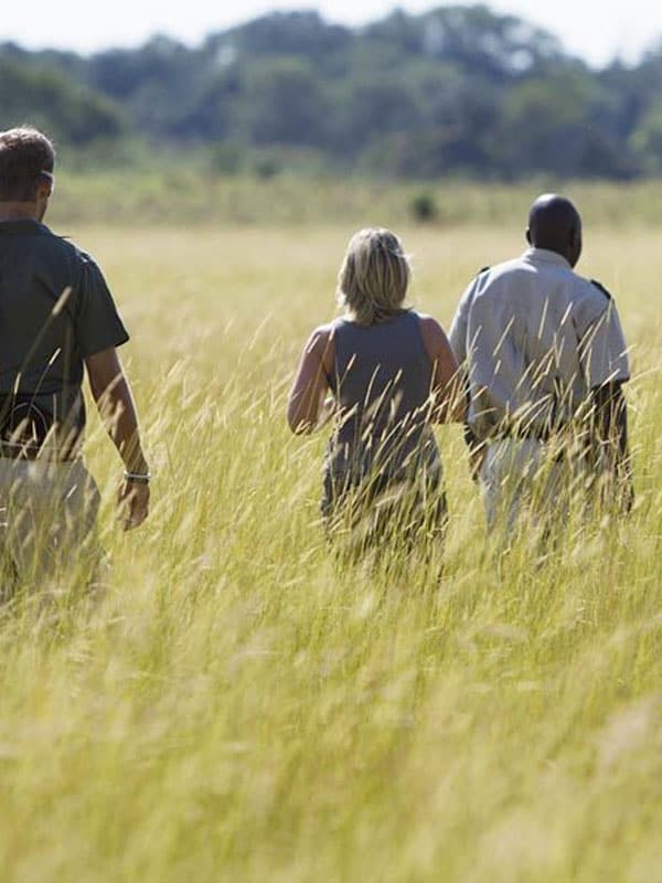 GUIDED WALKS