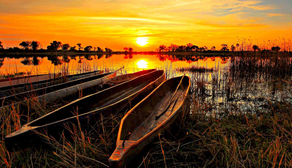 Jumbo Junction, Okavango Delta