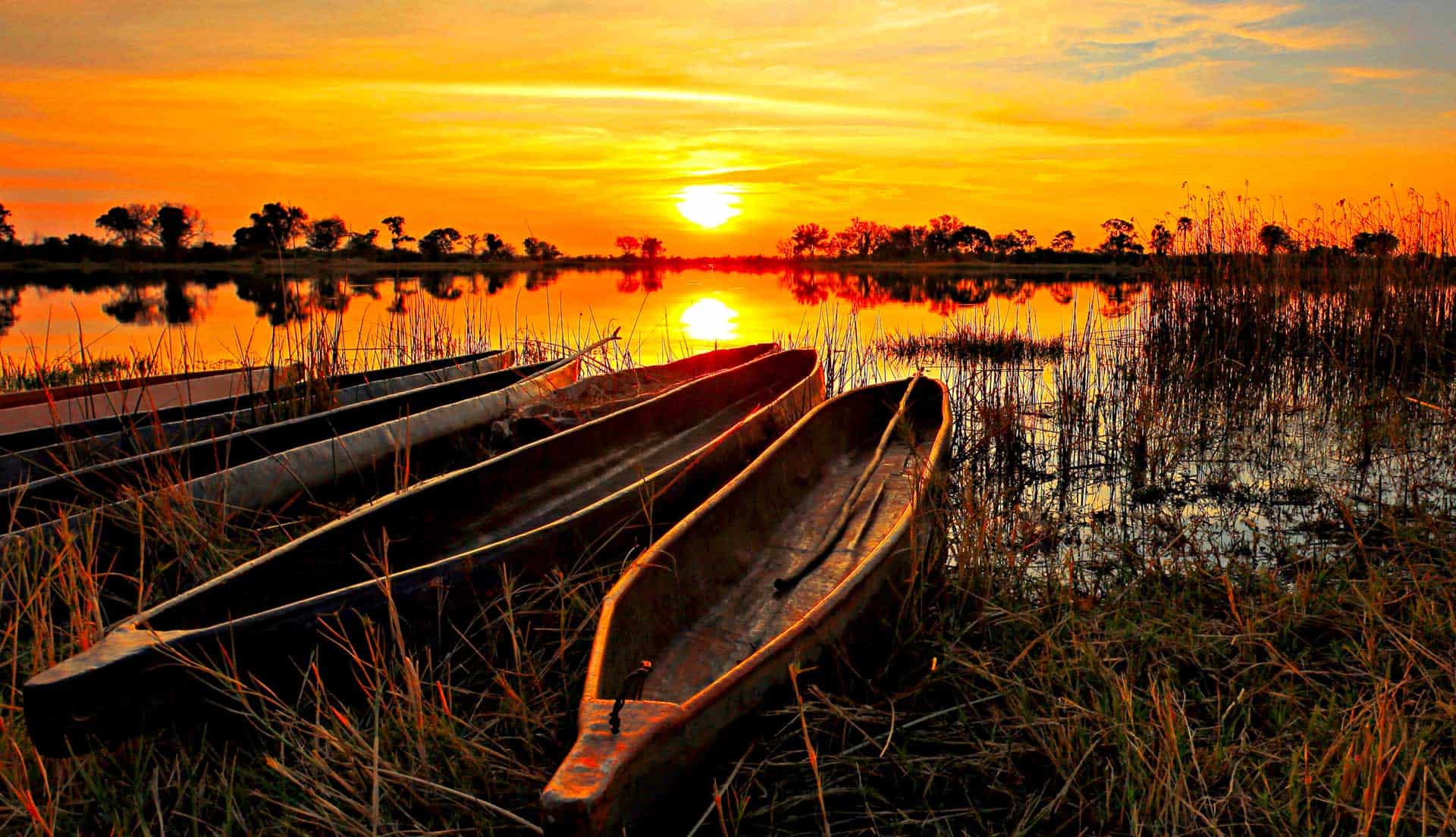 Jumbo Junction, Okavango Delta