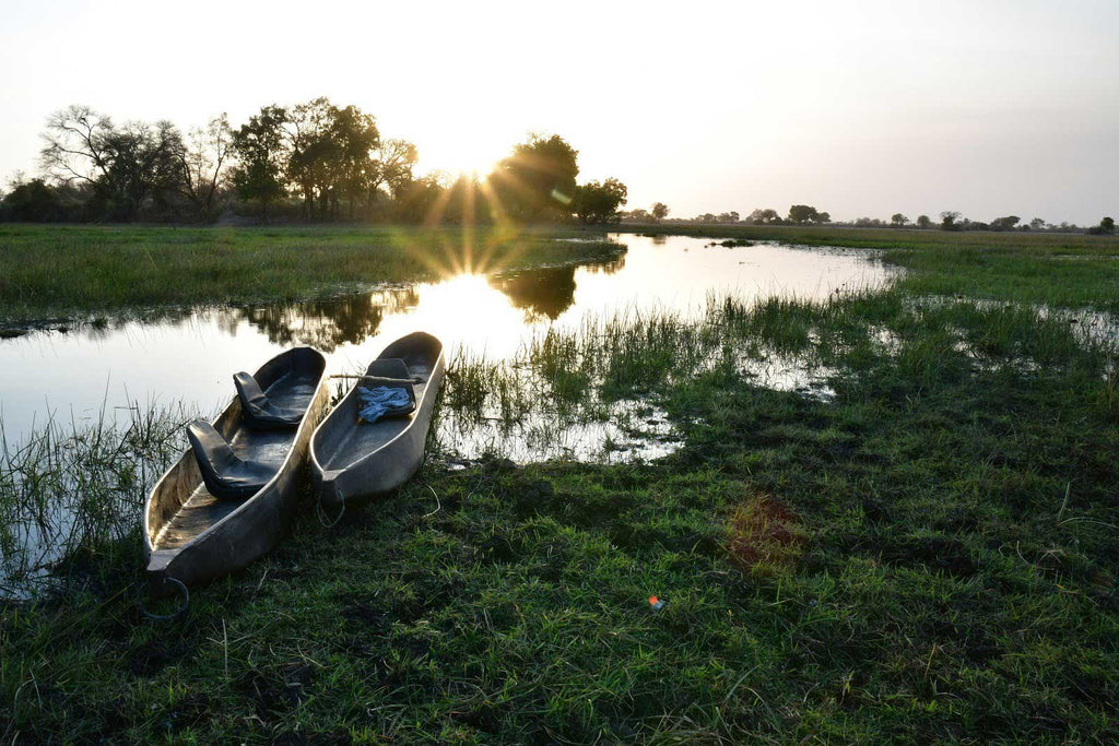 Jumbo Junction, Okavango Delta